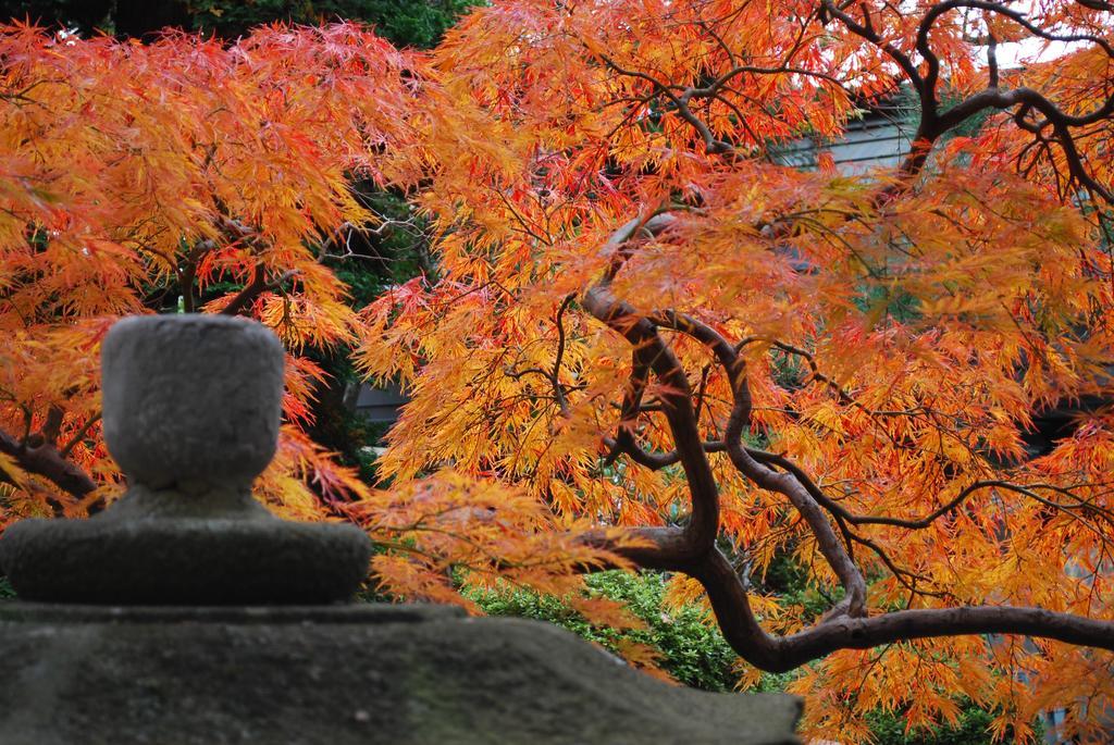 Nishiki-No-Yu Jimotoya Hotel Matsumoto Luaran gambar